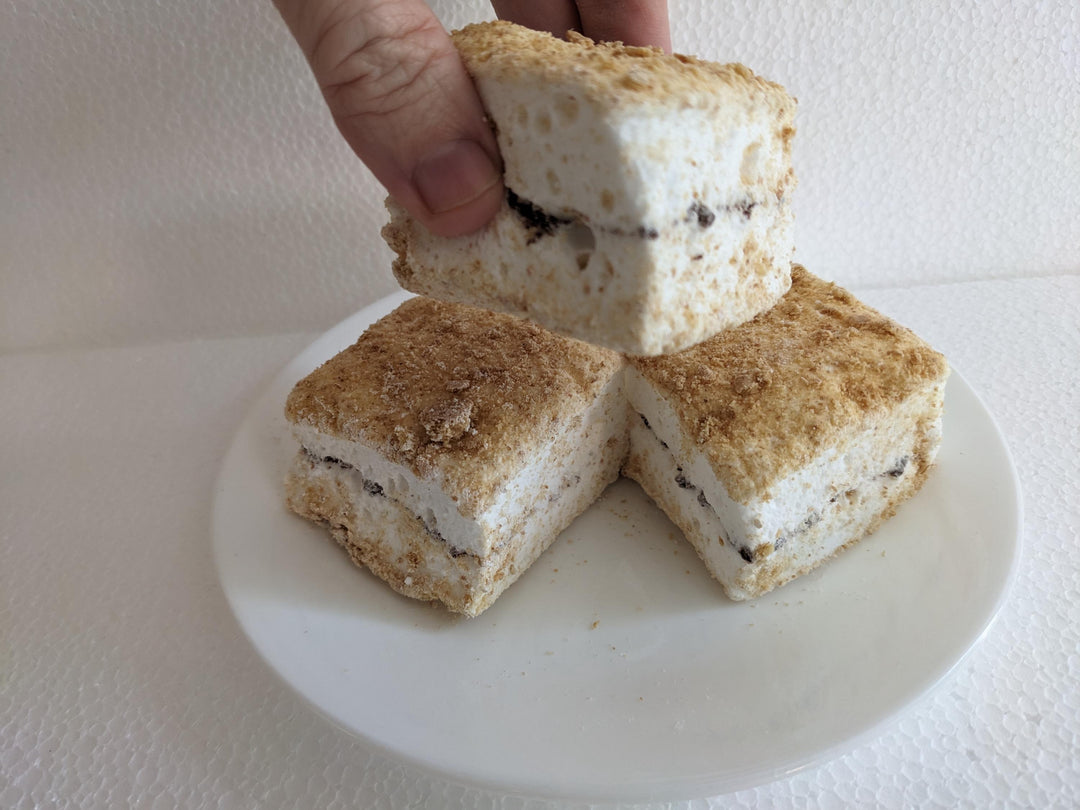 Hand holding a s’mores marshmallow layered with graham crumbs and chocolate, with two more marshmallows on a white plate.