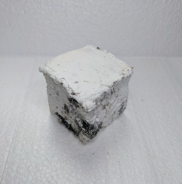 A single handcrafted gourmet cookies & cream marshmallow on a white plate, displayed on a plain white background. The marshmallow is approximately 2" x 2" x 2" and made from premium gelatin.