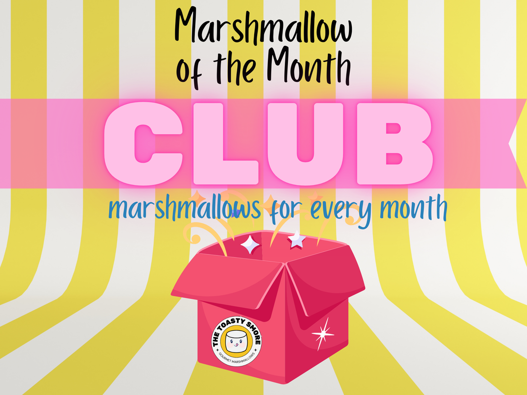 A surprise box from The Toasty Smore Marshmallow of the Month Club featuring an assortment of gourmet marshmallows in various flavors, beautifully packaged with a special surprise item, ready for monthly enjoyment